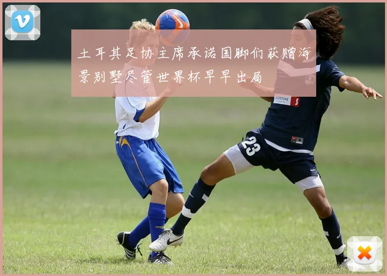 土耳其足协主席承诺国脚们获赠海景别墅尽管世界杯早早出局